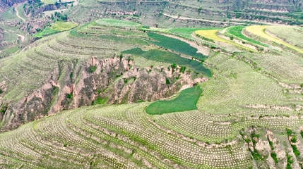 慶城縣林草局榮獲“全國(guó)綠化模范單位”榮譽(yù)稱號(hào)